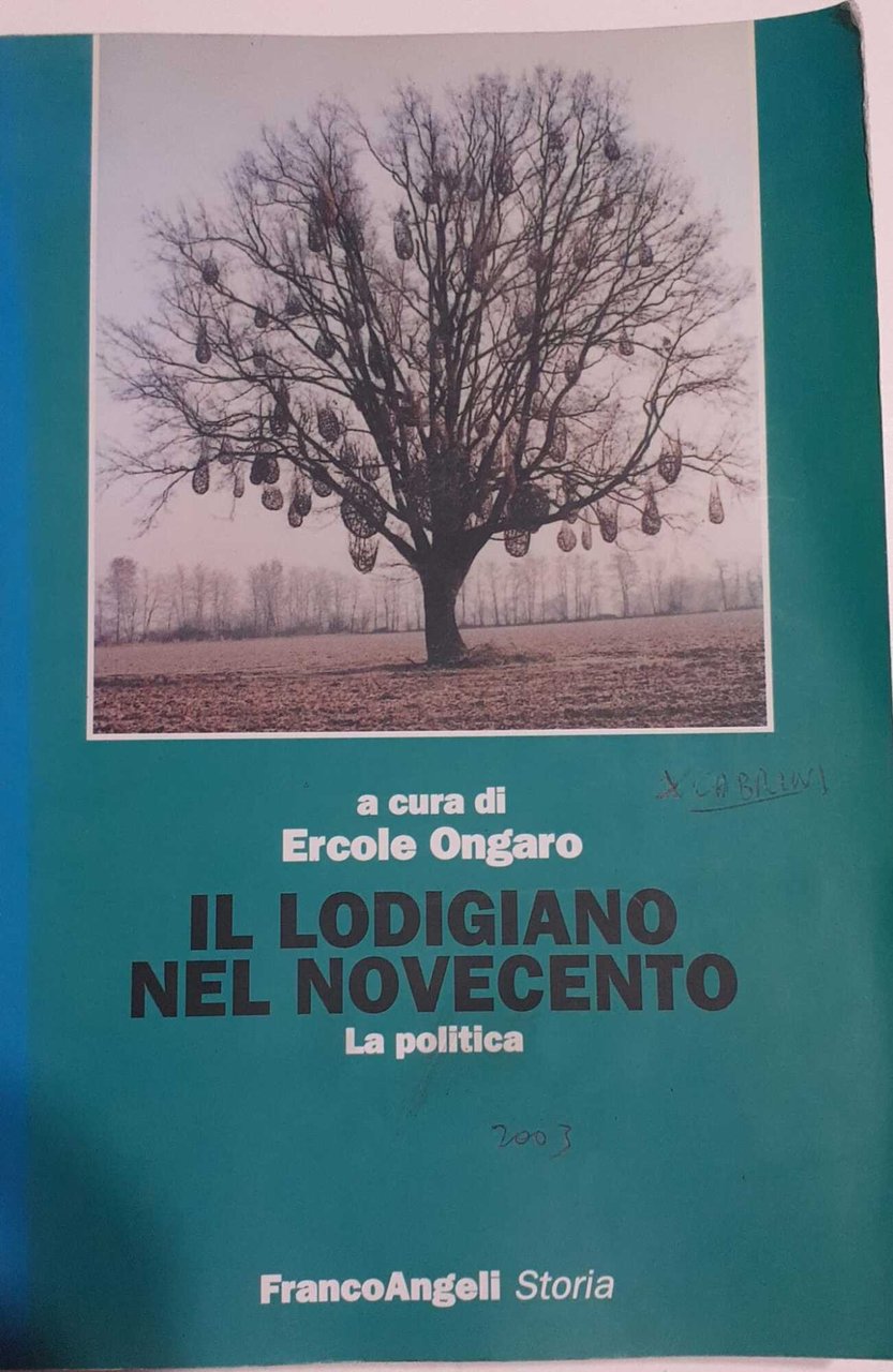 Il lodigiano nel Novecento. La politica