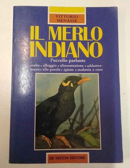 Il merlo indiano | Immagine principale