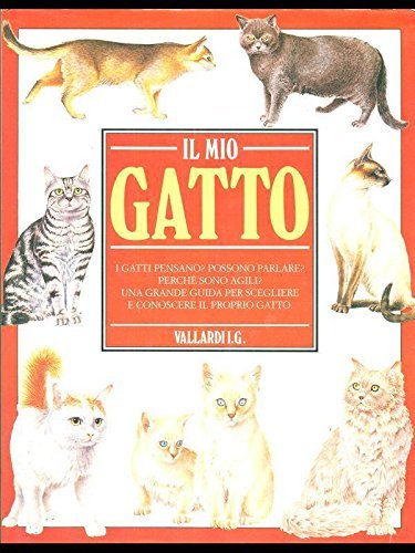 Il mio gatto