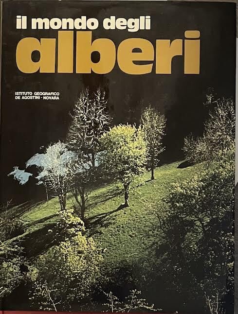 Il mondo degli alberi