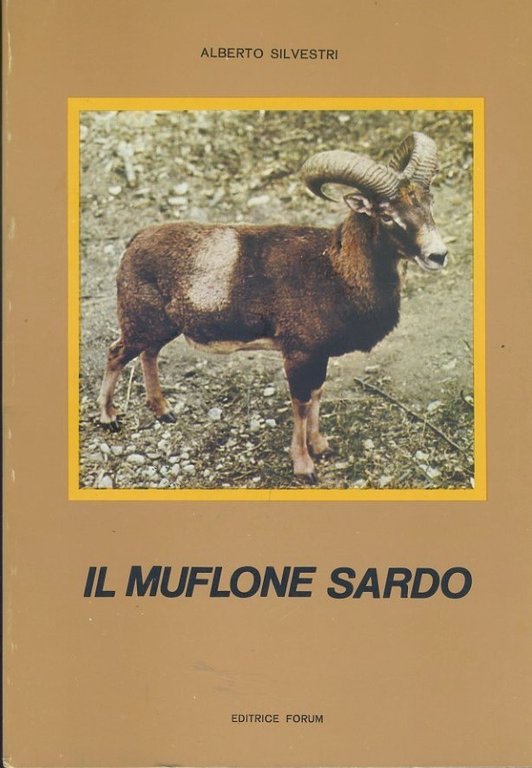Il muflone sardo | Immagine Gallery 3