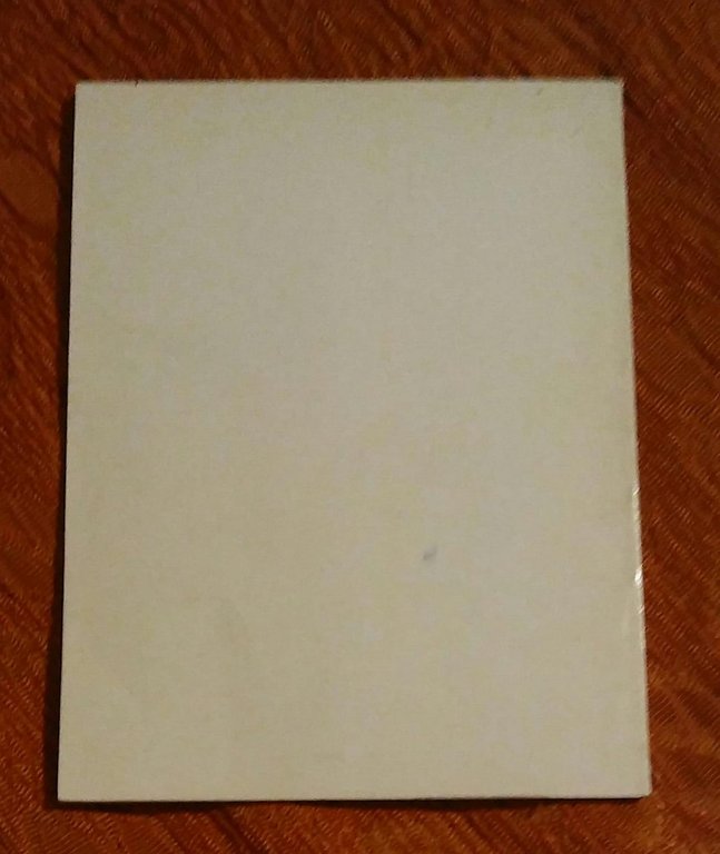 IL NASO FUORI CASA | Immagine Gallery 4