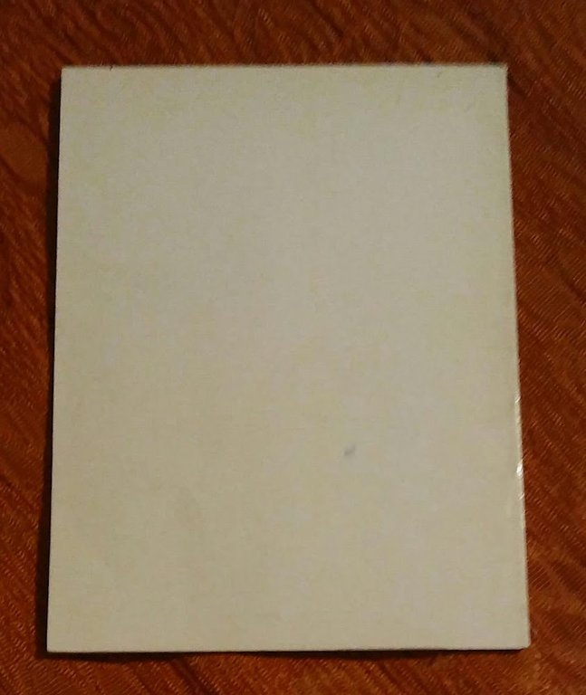 IL NASO FUORI CASA | Immagine Gallery 2