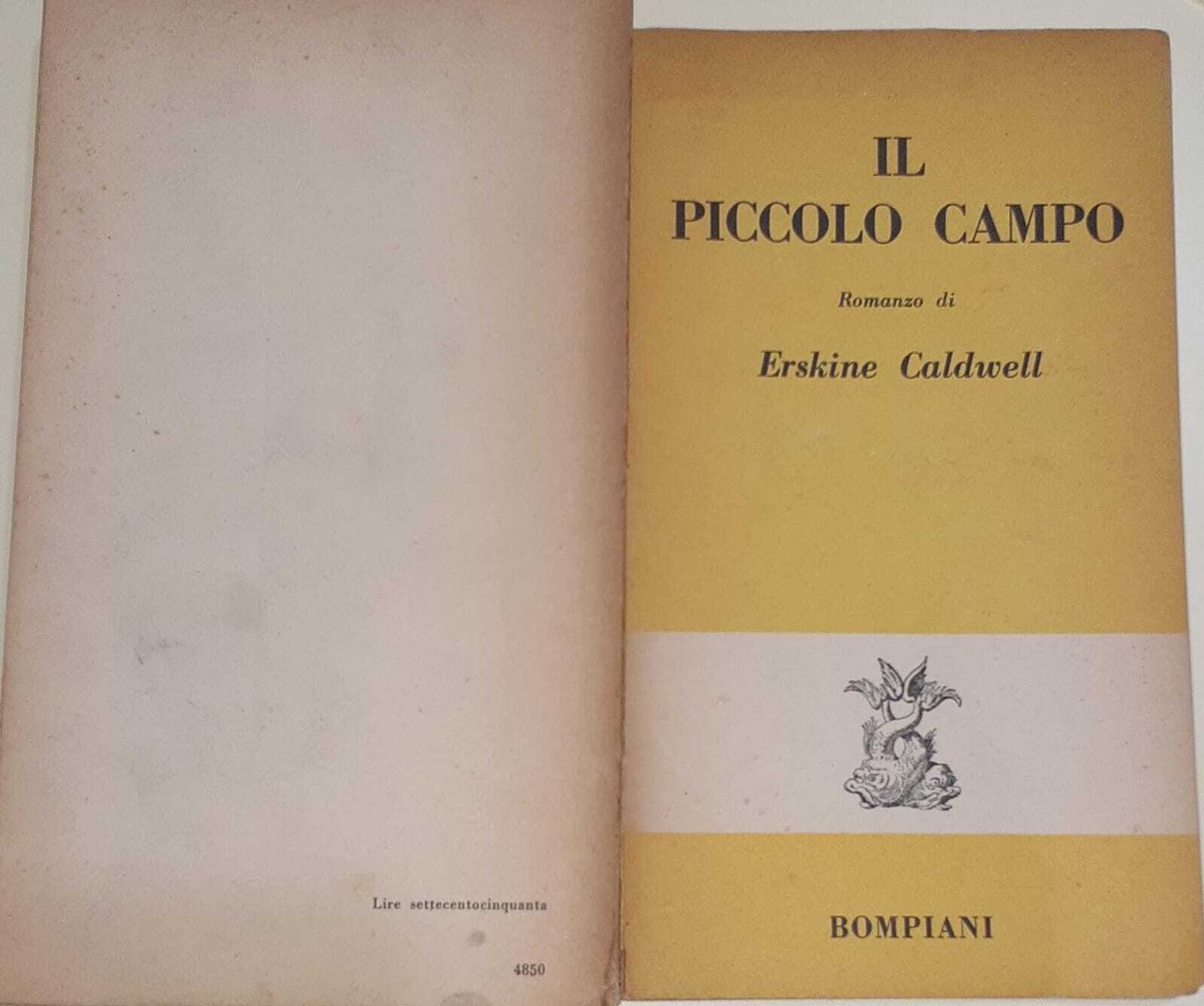 Il piccolo campo