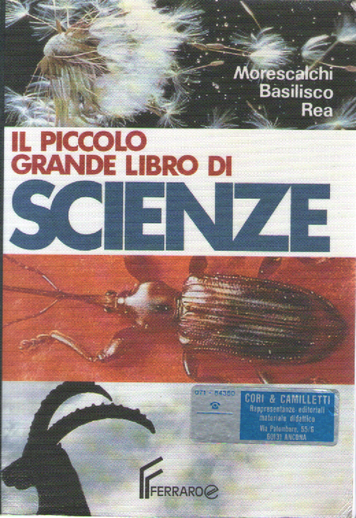 Il piccolo grande libro di scienze. Per la Scuola media