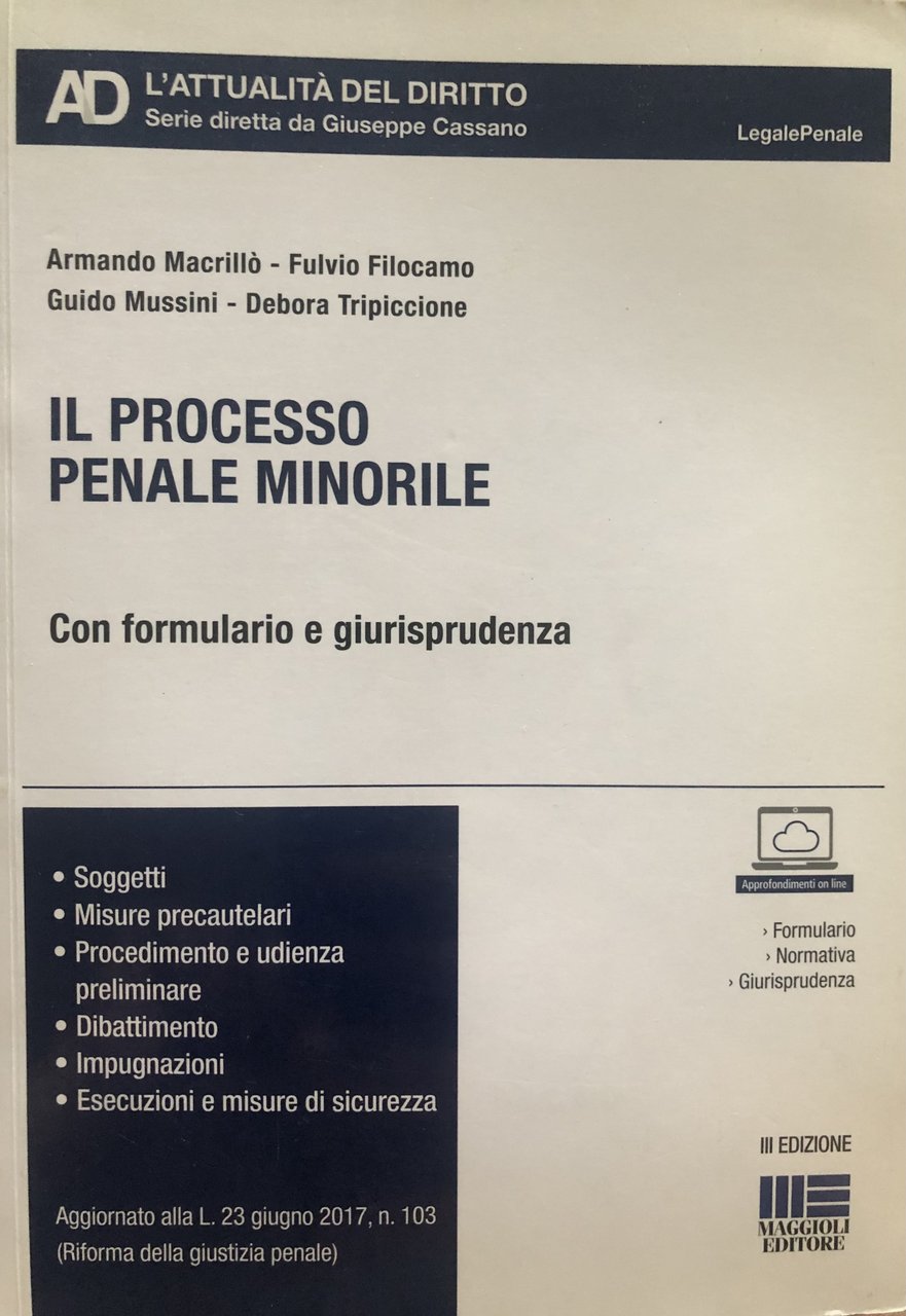 Il processo penale minorile