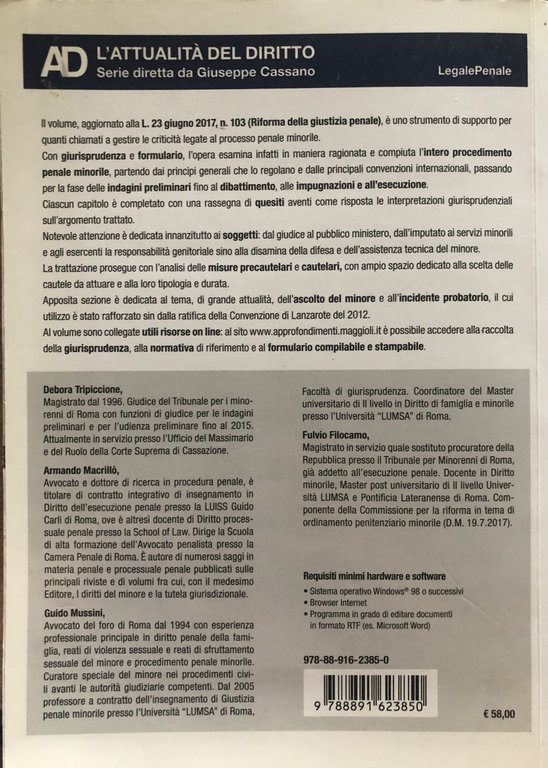 Il processo penale minorile