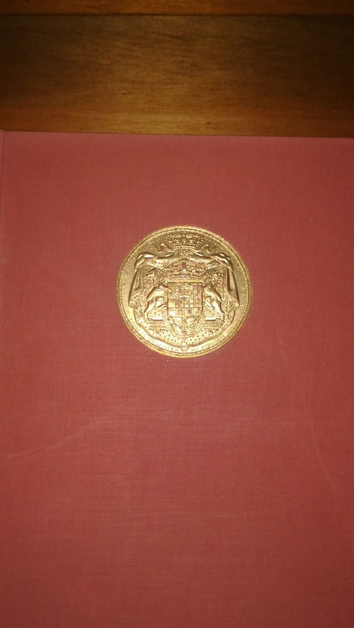 Il risorgimento d'Italia