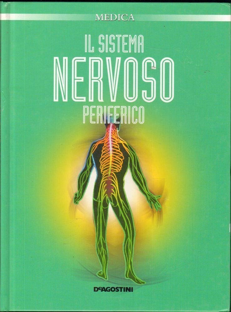 Il sistema nervoso periferico | Immagine principale
