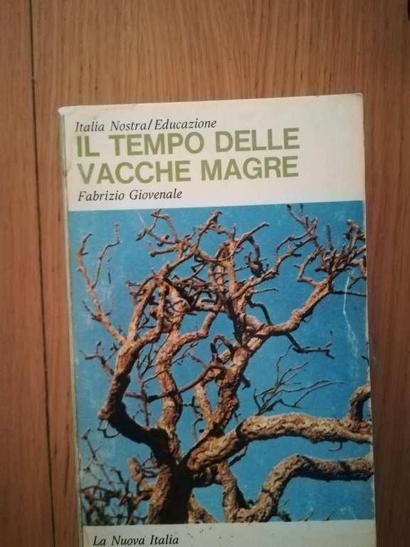 Il tempo delle vacche magre