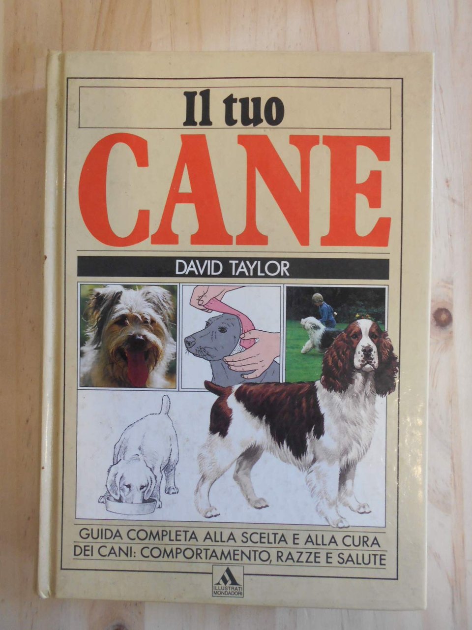 Il tuo cane
