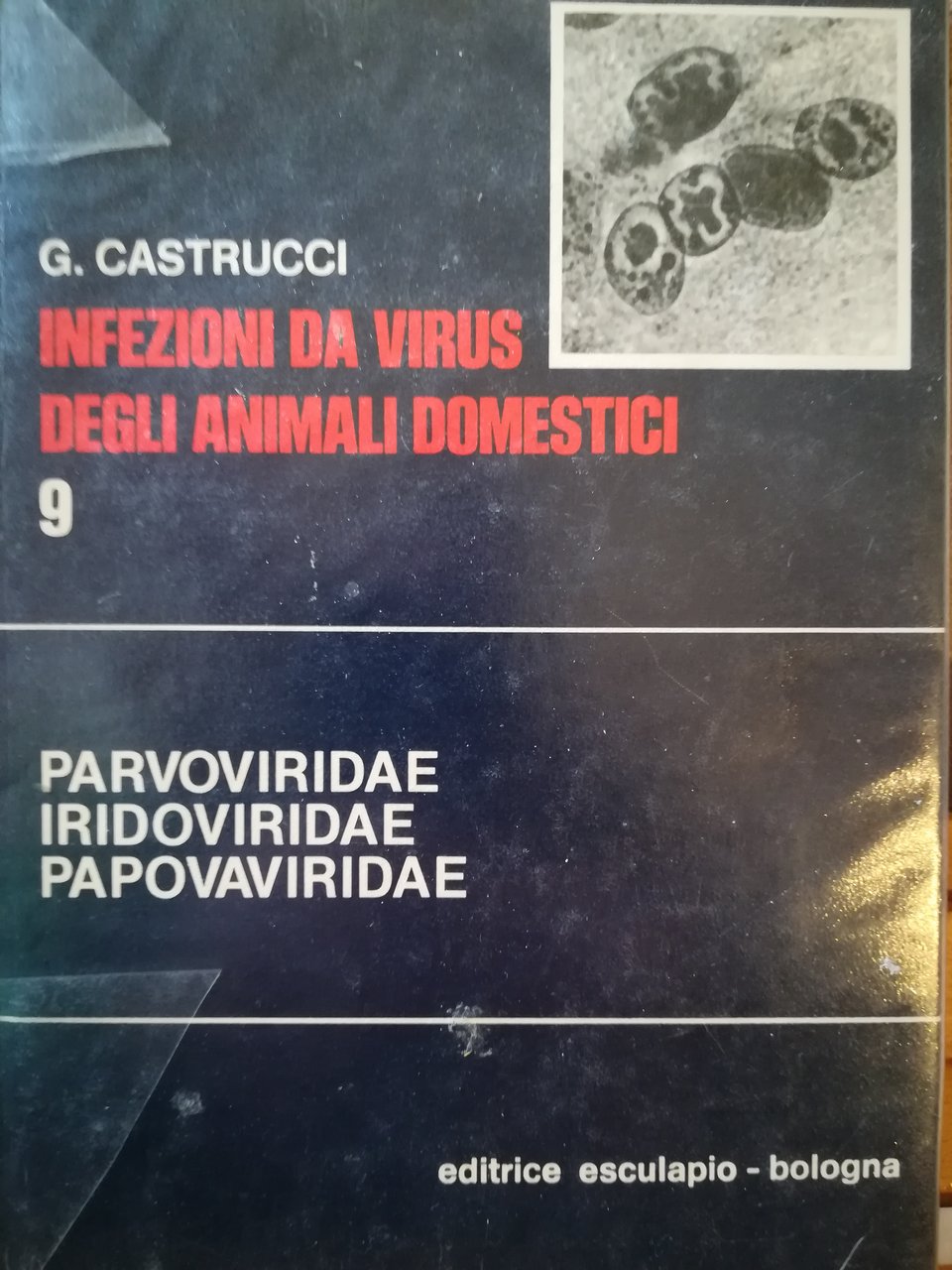 Infezioni da virus degli animali domestici. 9. Parvoviridae. Iridoviridae. Papovaviridae. | Immagine principale