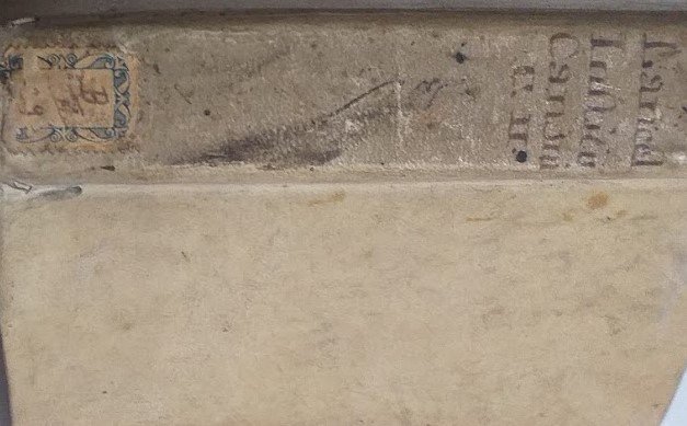 Institutiones Juris Canonicis. Tomus Secundus, lebri tertius et quartuus