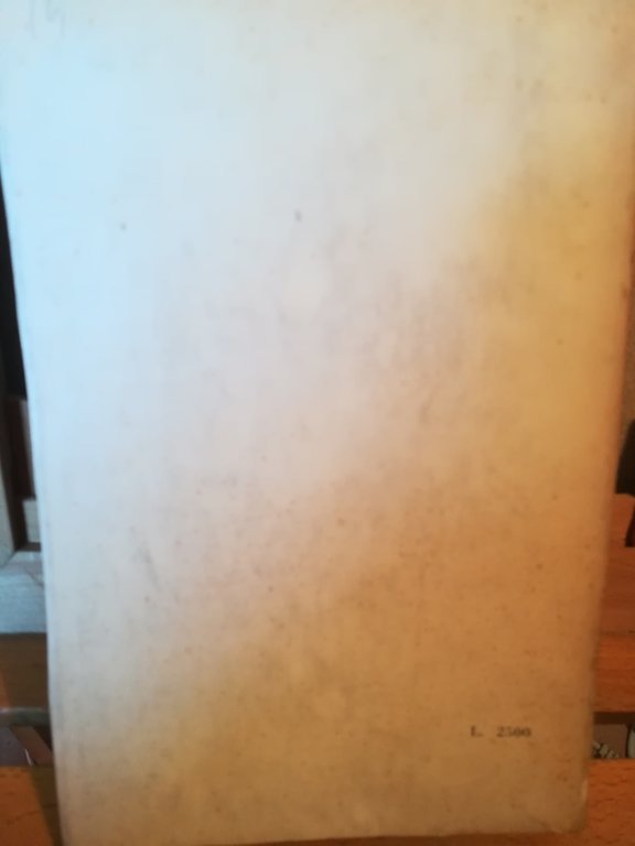 Intenzionalità e istanza metafisica