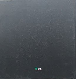 Internazionali BNL d'Italia 2008 | Immagine Gallery 4