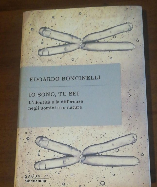 Io sono, tu sei. L'identità e la differenza negli uomini …