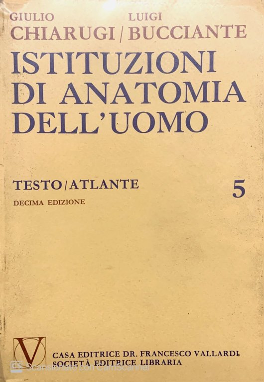 Istituzioni di anatomia dell' uomo testo/atlante 5