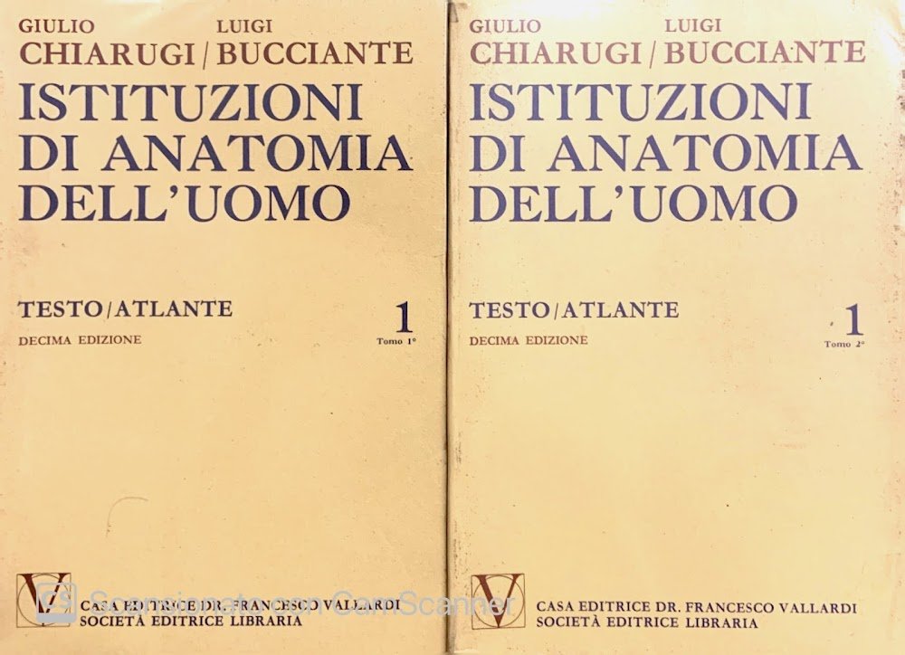 Istituzioni di anatomia dell' uomo testo/atlante. Vol. 1 Tomi 1-2