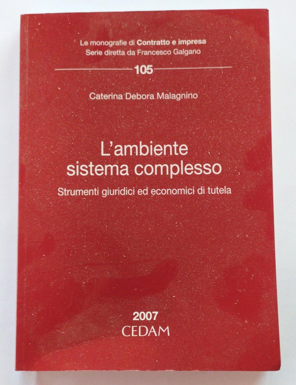 L'ambiente sistema complesso