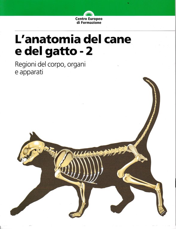 L'anatomia del cane e del gatto - 2
