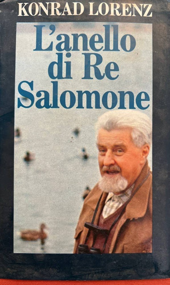 L'anello di Re Salomone | Immagine principale