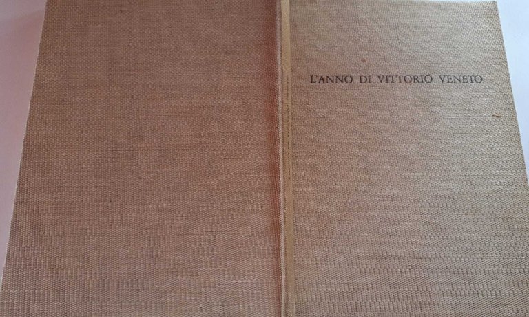 L'anno di Vittorio Veneto 1917-1918