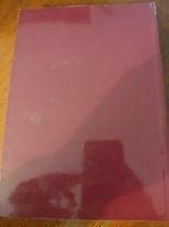 L'apostolo dei lebbrosi | Immagine Gallery 3