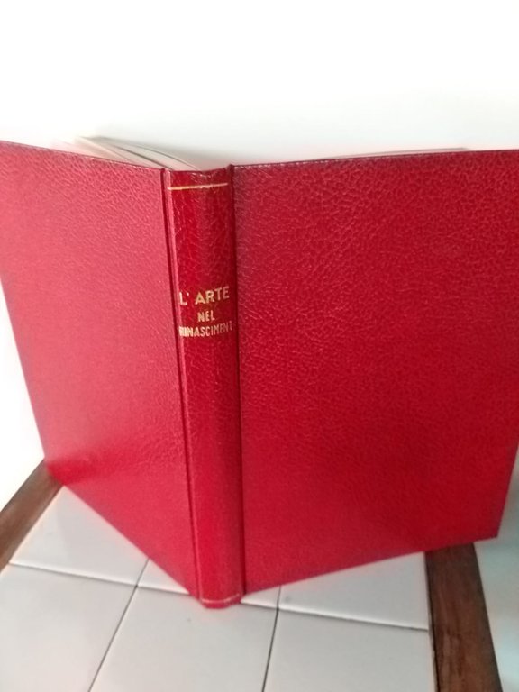 L'arte nel rinascimento volume VI | Immagine Gallery 2