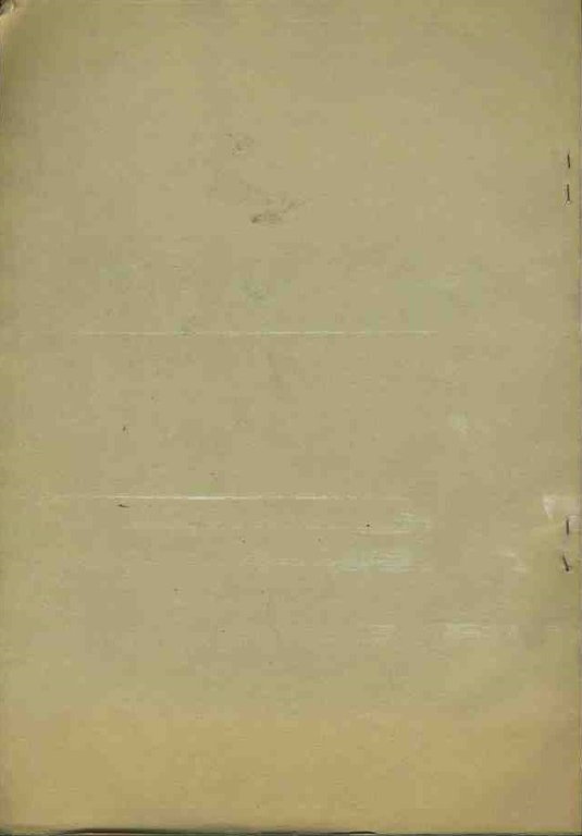 L'effettività delle decisioni giurisdizionali amministrative. Estratto