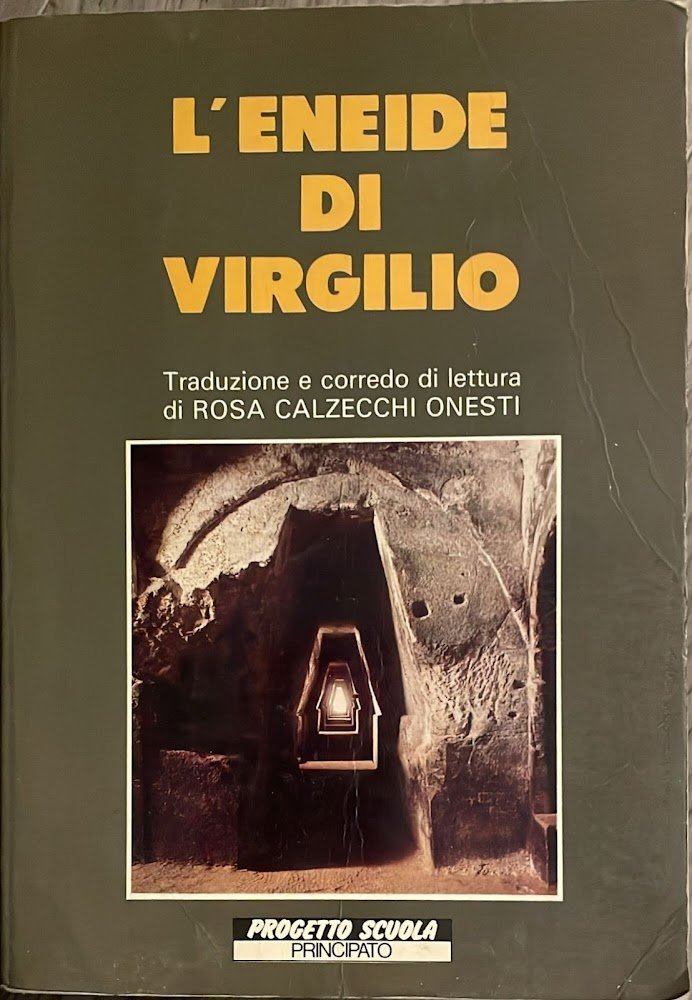 L'Eneide di Virgilio. Invito a scoprire il significato umano di …