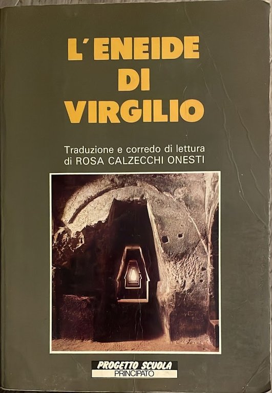 L'Eneide di Virgilio. Invito a scoprire il significato umano di un antico poema