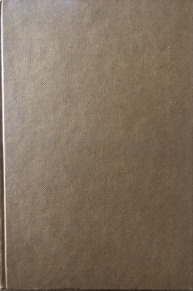 L'intelligenza. Studio sulla comprensione dell'esperienza