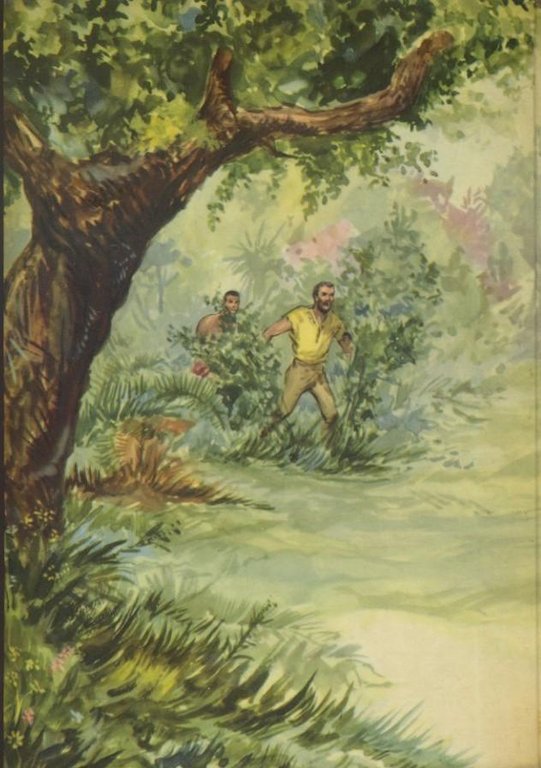 L'isola misteriosa