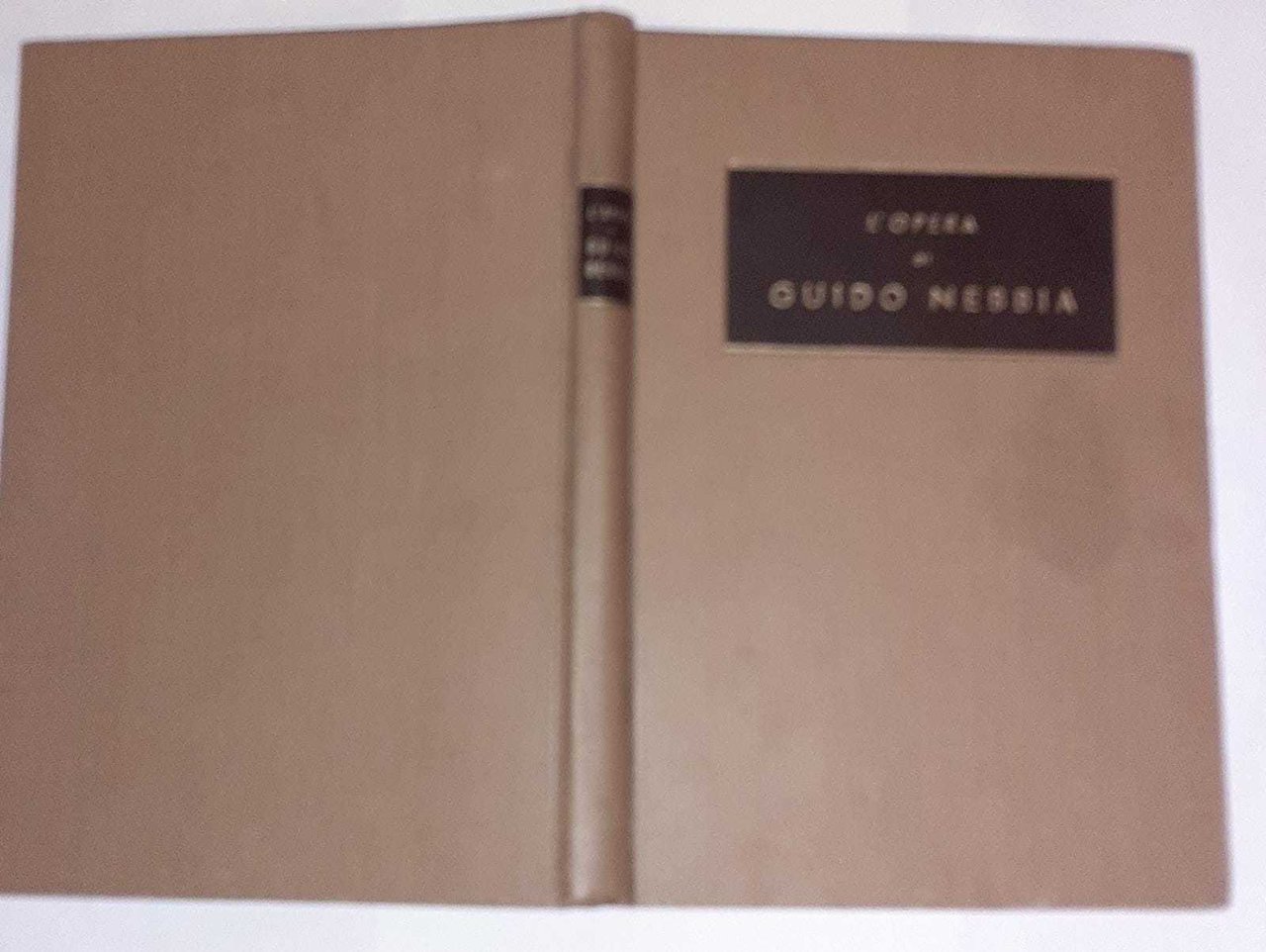 L'Opera di Guido Nebbia