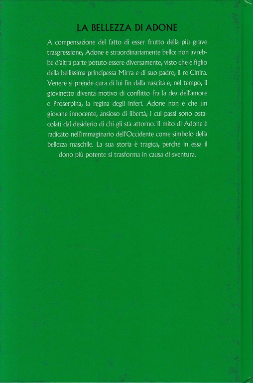 La bellezza di Adone | Immagine Gallery 4