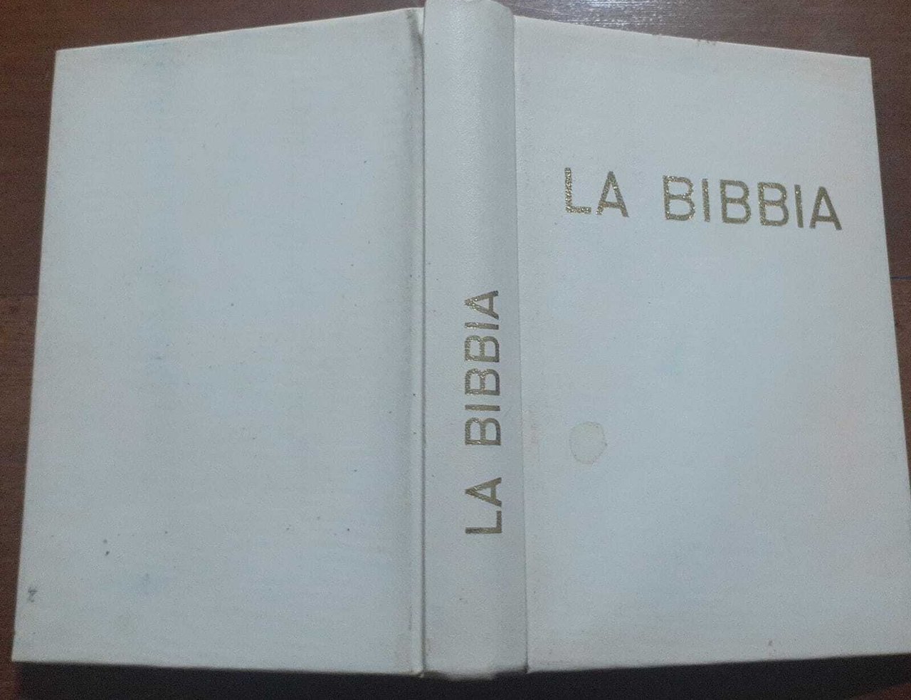 La Bibbia presentata ai ragazzi