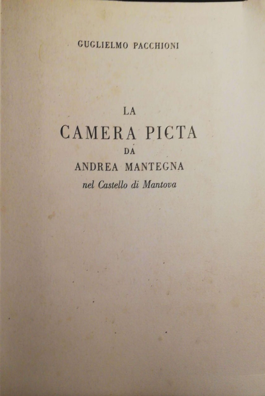 La camera picta