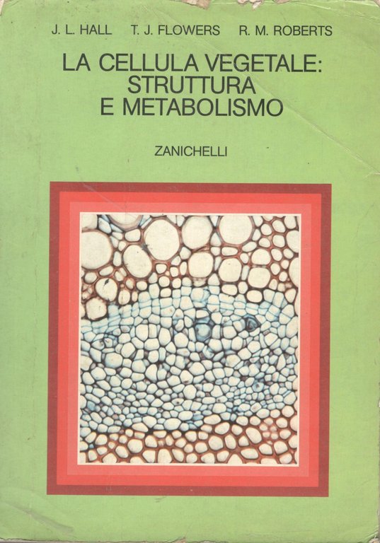 La cellula vegetale struttura e metabolismo | Immagine Gallery 2