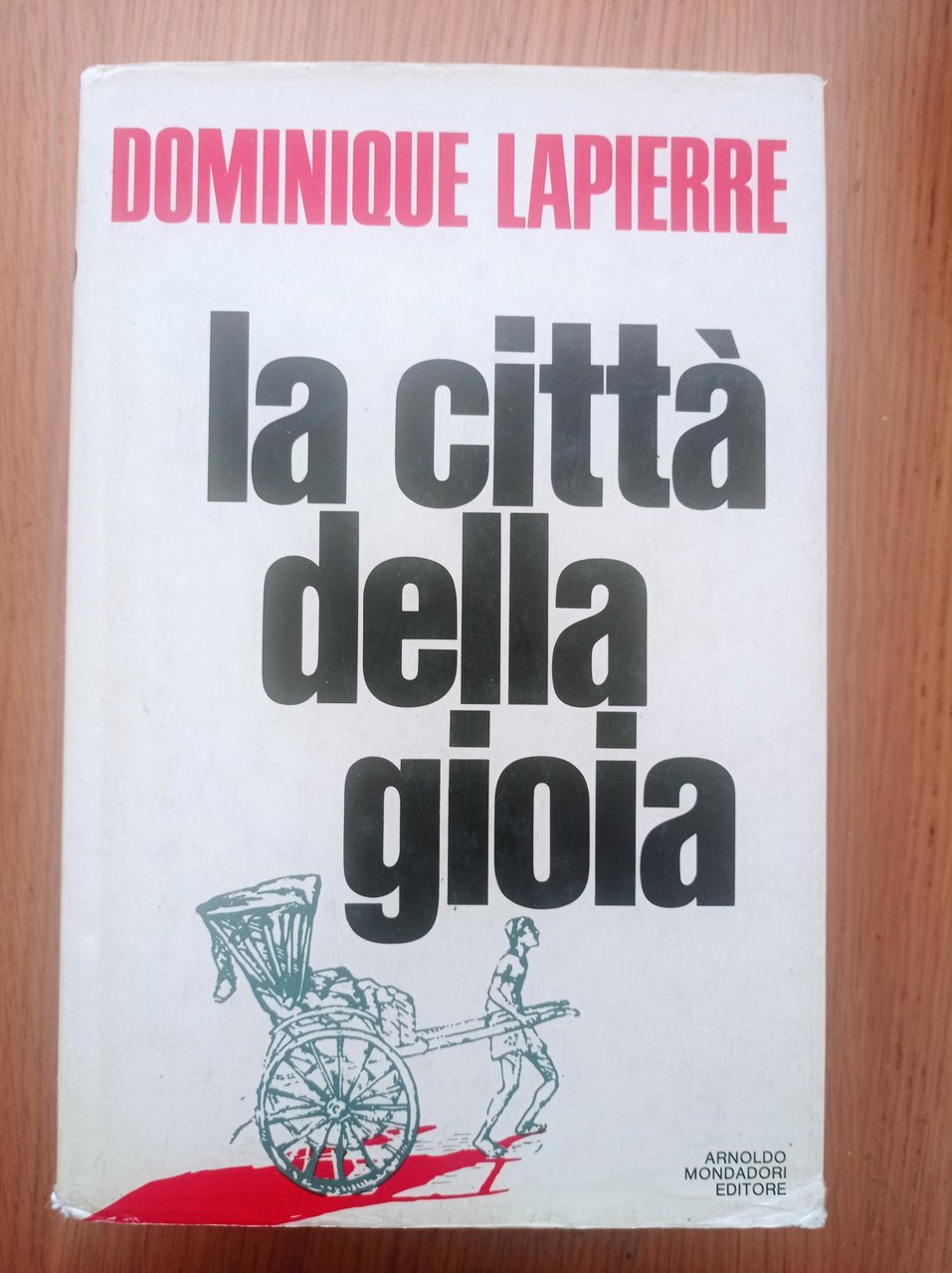 La città della gioia