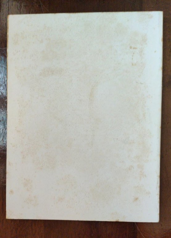 LA COLTIVAZIONE DELLA VITE