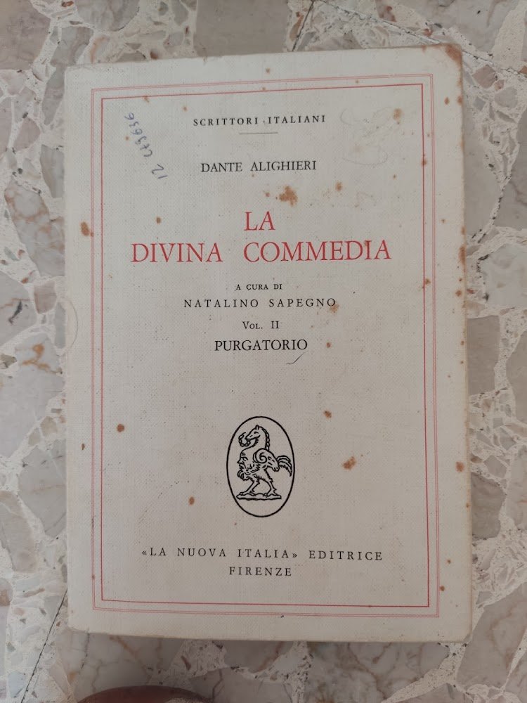 La divina commedia Purgatorio Vol. II