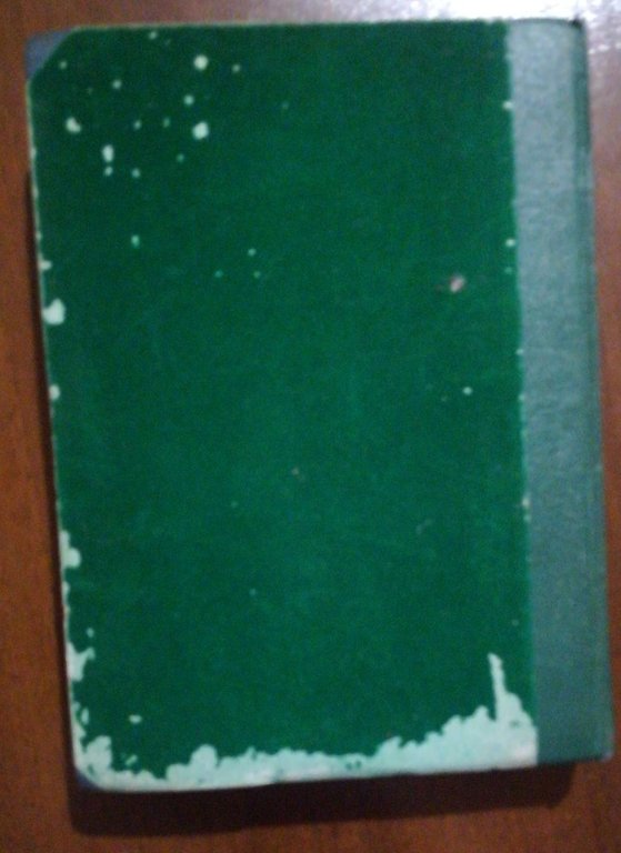 LA FONTANA NELLA FORESTA