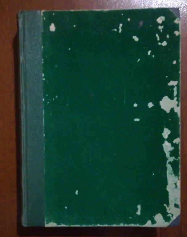 LA FONTANA NELLA FORESTA