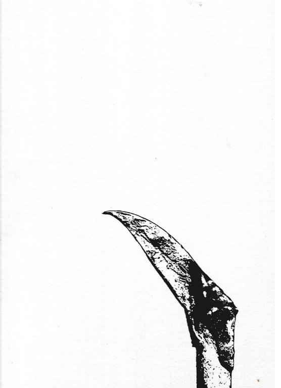 La Foresta di Tarvisio