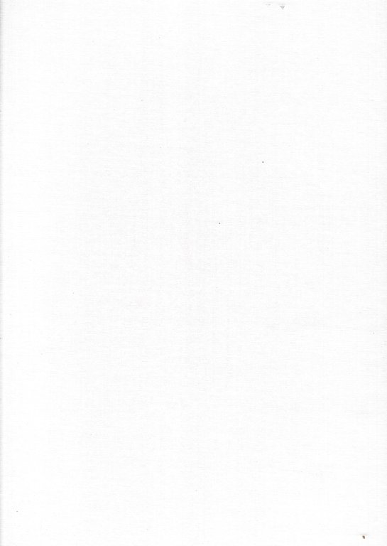 La Foresta di Tarvisio