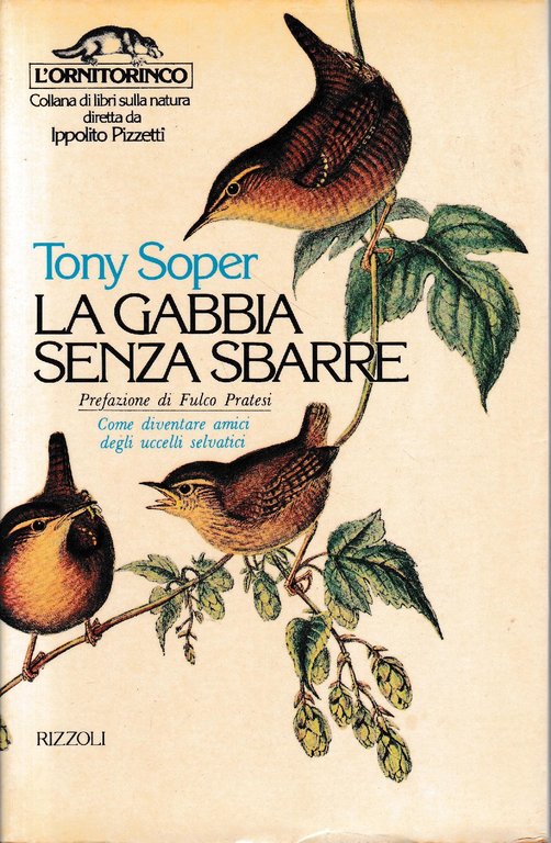 La gabbia senza sbarre