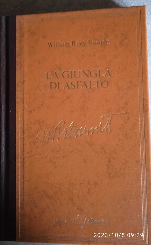 La giungla di asfalto | Immagine principale