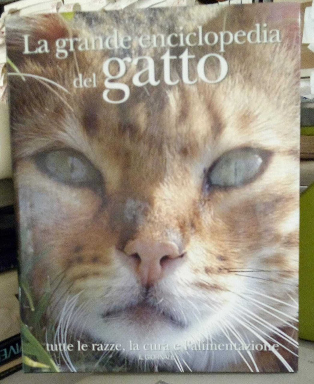La grande enciclopedia del gatto. | Immagine principale