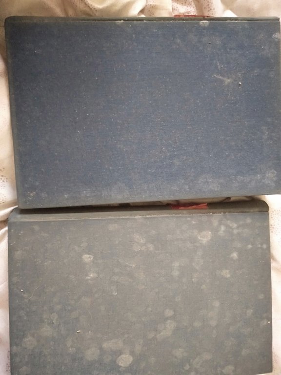 La guerra alla fronte italiana fino all' arresto sulla linea … | Immagine Gallery 2