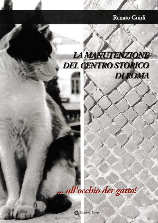 La manutenzione del centro storico di Roma...all'occhio der gatto!